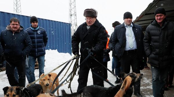 ЛДПР предложила переименовать Луков переулок в Москве в честь Жириновского