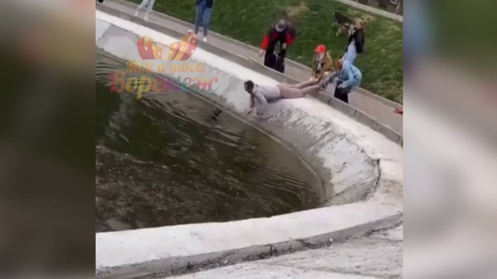 В Воронеже прохожие спасли упавшую в озеро собаку