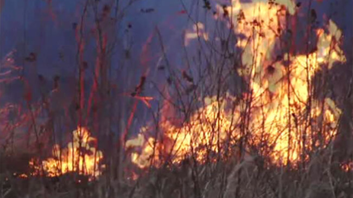 В Забайкалье действуют три лесных пожара