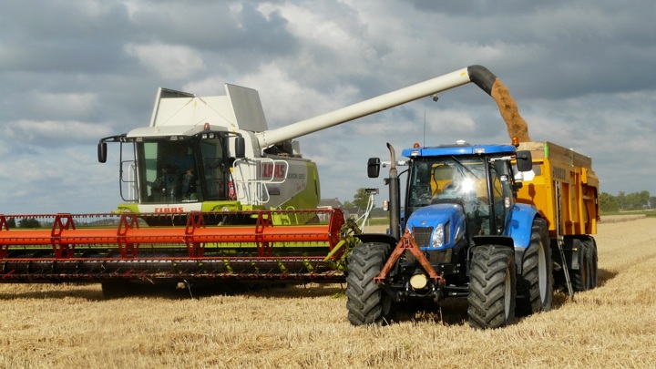 РФ не мешает вывозу зерна с Украины, готова поставить 25 млн тонн