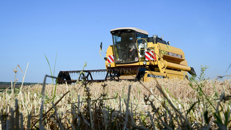 В Госдуме назвали шантажом отказ Киева от поставок зерна через Белоруссию