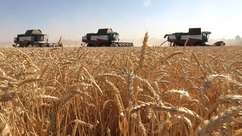 В МИД РФ ожидают экспорт 37 млн т российского зерна в 2022 году