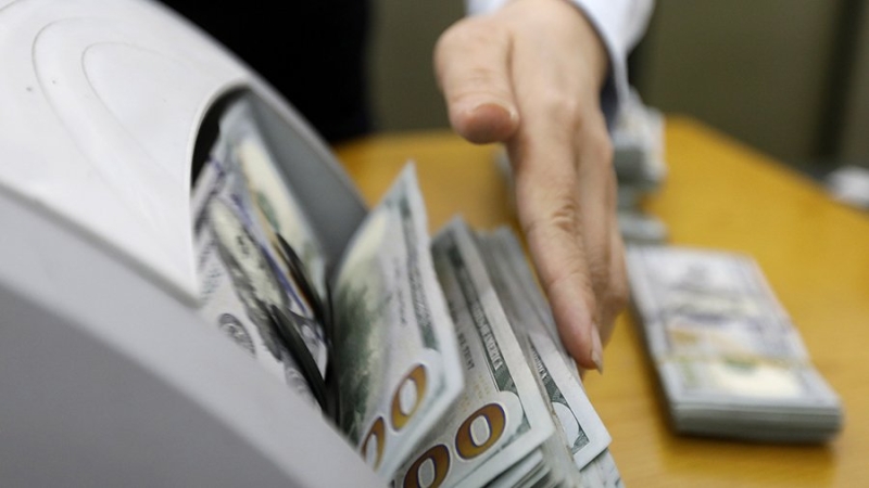 Аналитики посоветовали россиянам оставить часть активов в долларах