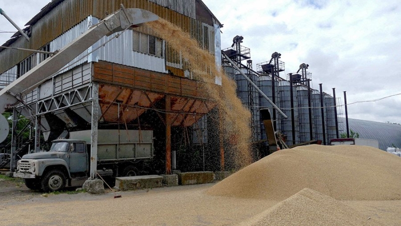 В МИДе заявили о готовности РФ полностью заместить украинское зерно