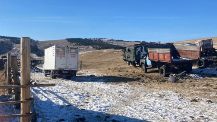 Занимавшийся грузоперевозками водитель найден застреленным