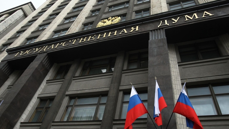 Госдума отклонила несколько проектов из-за нового закона о гражданстве