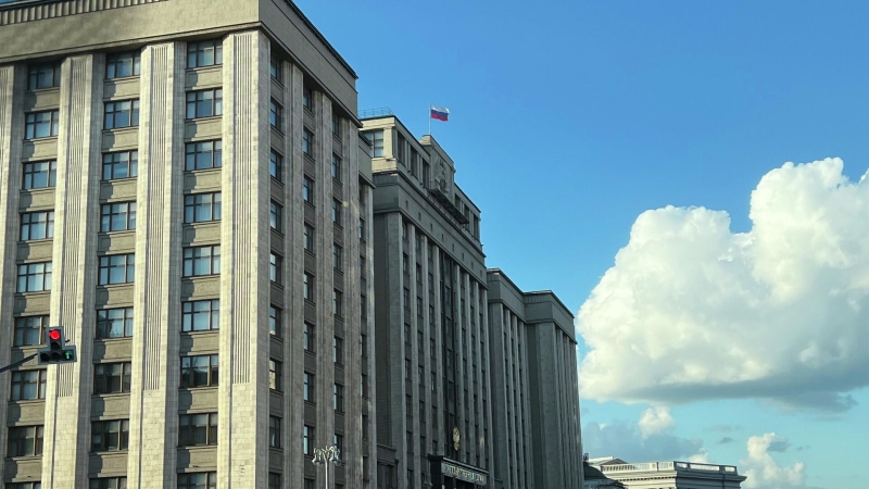 Госдума отклонила несколько проектов из-за нового закона о гражданстве