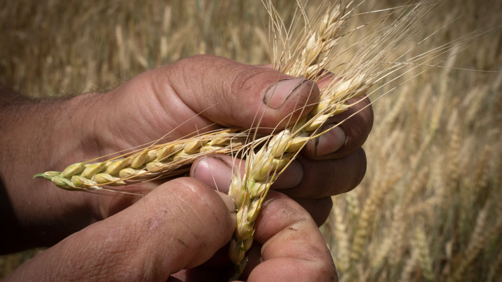 Генсек ООН обеспокоен будущим зерновой сделки