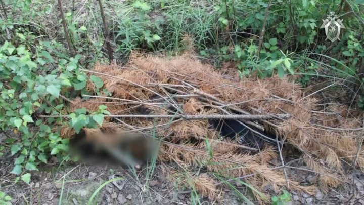 Тело пропавшего в феврале мужчины наши завернутым в ковер в лесу