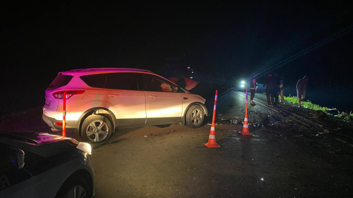 Водитель погиб и трое детей пострадали в лобовом столкновении иномарок