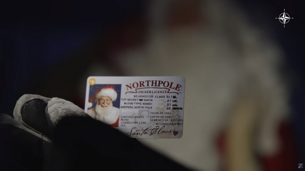 "Уже начали". Поступок НАТО в Финляндии спровоцировал скандал