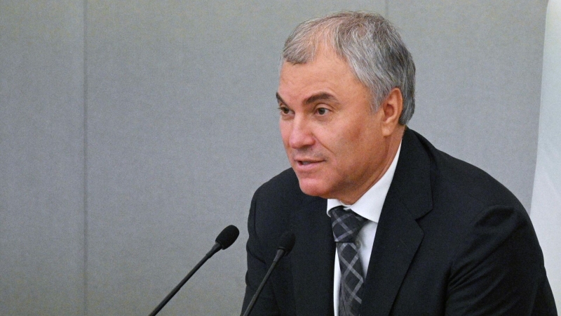 Володин отметил важность взаимодействия Госдумы и правительства