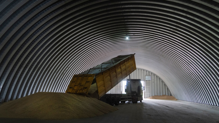 Россия закупила в интервенционный фонд более 656 тысяч тонн зерна