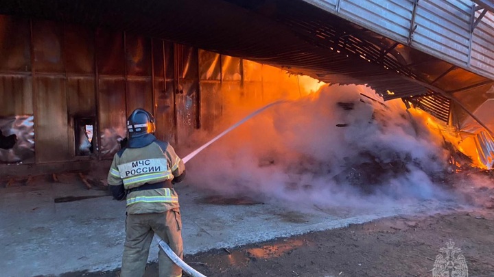 Огнеборцы потушили крупный пожар в цехе с пиломатериалами в Красноярском крае
