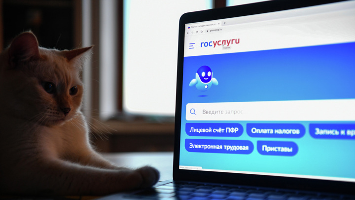 В РФ запущен эксперимент с электронными зачетками и студенческими билетами