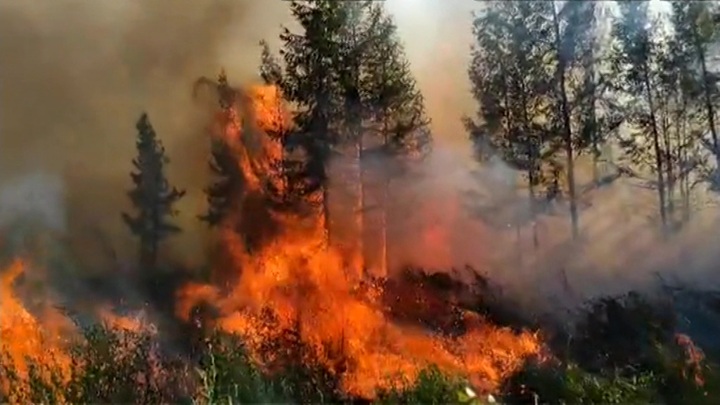 Площадь лесных пожаров в Хабаровском крае за сутки выросла вдвое – до 31 тыс. га