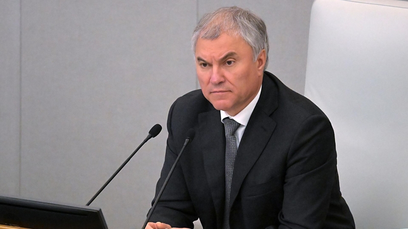 Володин заявил, что кандидатам в правительство не позавидуешь