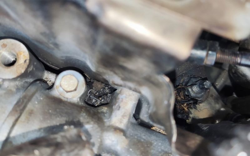 GAC объяснил возгорание своего кроссовера в Саратове гнездом под капотом