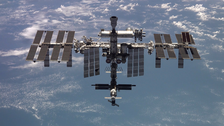 Экипаж "Союза" возьмет на МКС плюшевую собаку корги