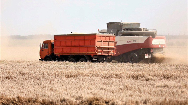 Работникам агропромышленного комплекса могут снизить пенсионный возраст