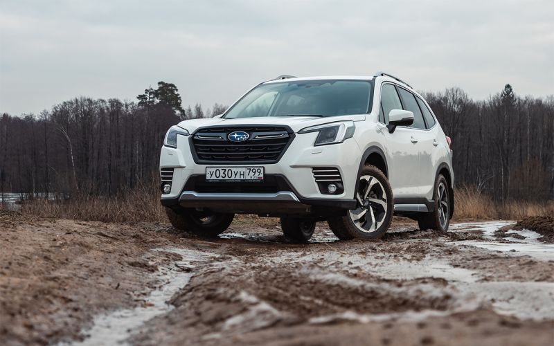 Что вы не знаете о стабильности. Тест-драйв нового Subaru Forester