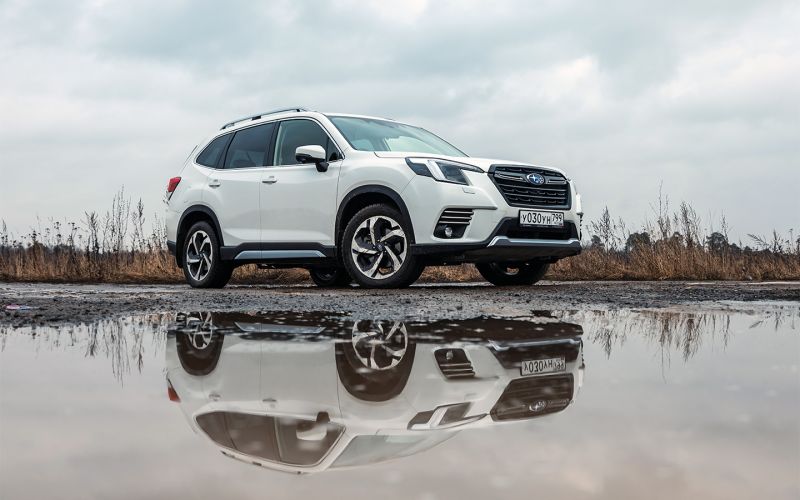 Что вы не знаете о стабильности. Тест-драйв нового Subaru Forester