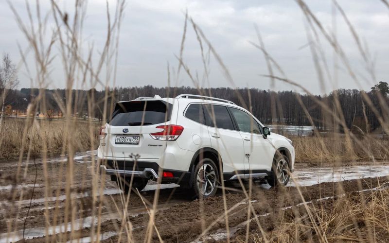 Что вы не знаете о стабильности. Тест-драйв нового Subaru Forester