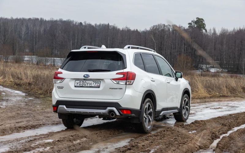 Что вы не знаете о стабильности. Тест-драйв нового Subaru Forester