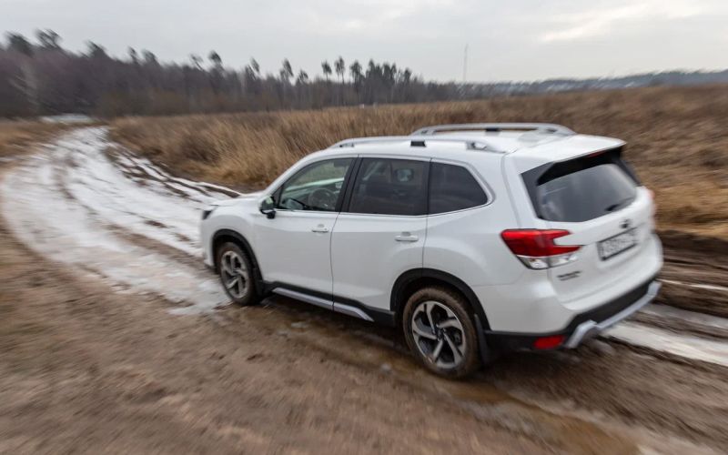 Что вы не знаете о стабильности. Тест-драйв нового Subaru Forester