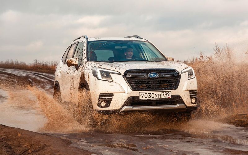 Что вы не знаете о стабильности. Тест-драйв нового Subaru Forester