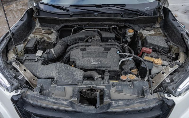 Что вы не знаете о стабильности. Тест-драйв нового Subaru Forester