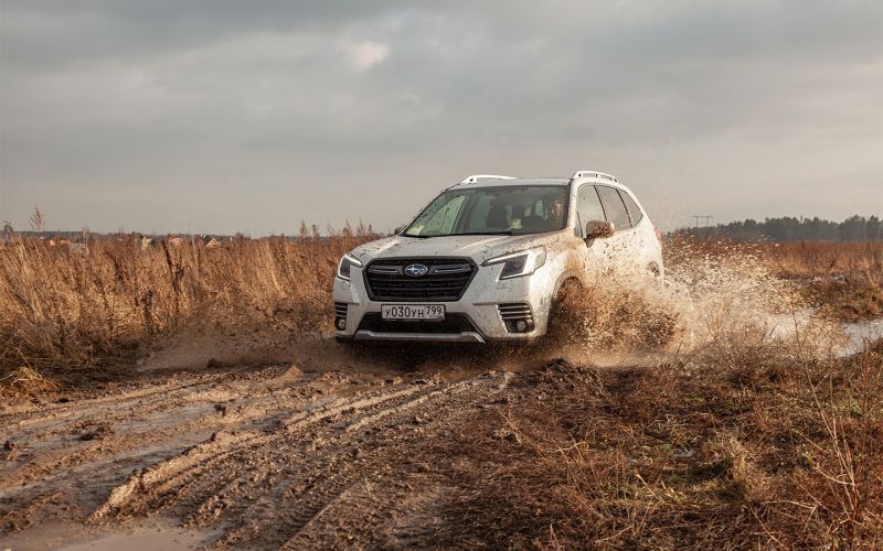 Что вы не знаете о стабильности. Тест-драйв нового Subaru Forester