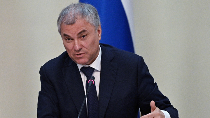 Володин: Госдума и правительство обсудят вопросы развития образования - Новости на Вести.ru