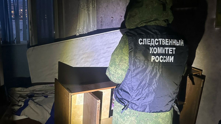 СК возбудил уголовное дело после гибели девочки на пожаре в Красноярском крае - Новости на Вести.ru