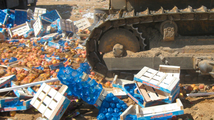 Сеть "Светофор" в Приморье обязали уничтожить 1,3 т опасной продукции - Новости на Вести.ru