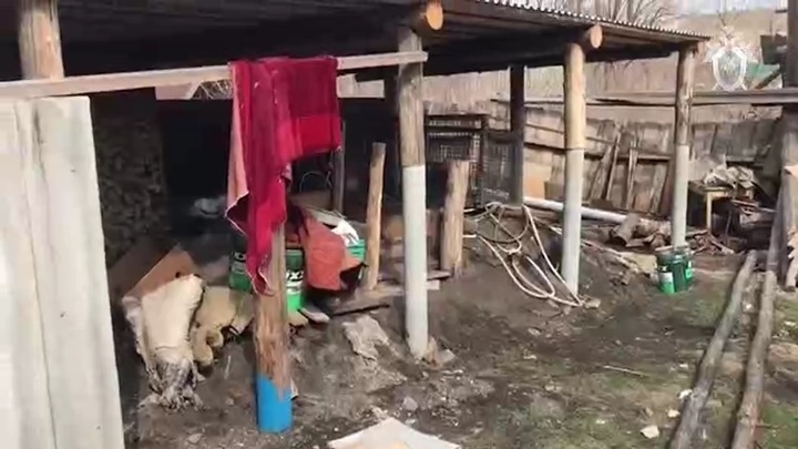 У подозреваемых в убийстве девочки в Ульяновской области проблемы с психикой - Новости на Вести.ru