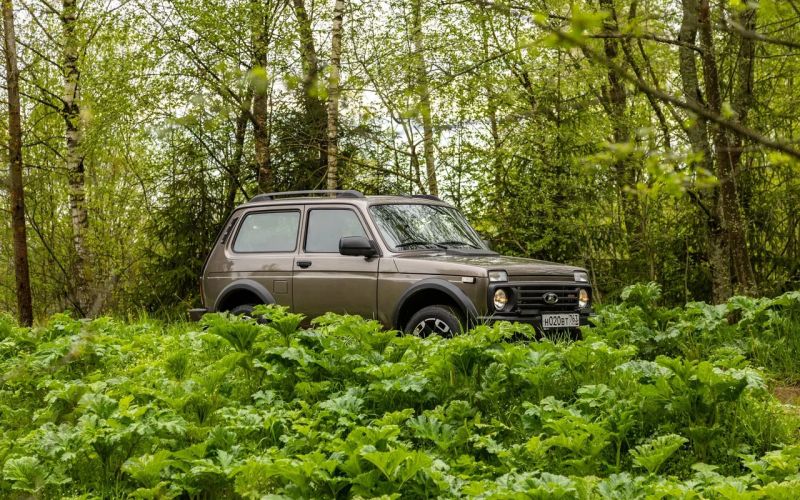 Фитнес на бездорожье. Первый тест новой Lada Niva Sport