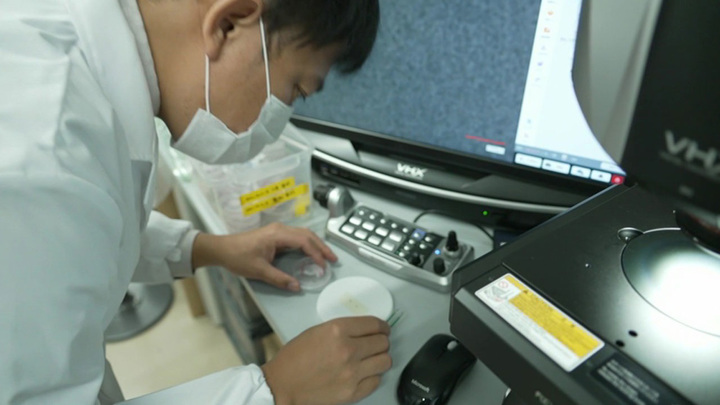 Роспотребнадзор: свыше 82 тыс. россиян обратились в больницы из-за укусов клещей - Новости на Вести.ru