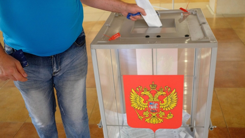 Эксперт рассказала об условиях для наблюдения за выборами