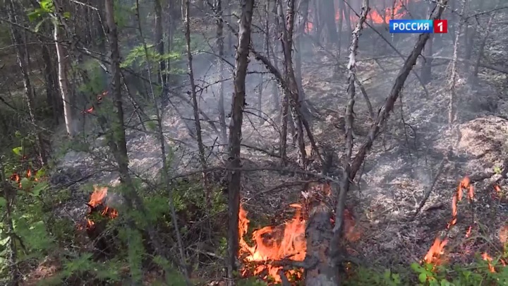 В Якутии остался один крупный лесной пожар - Новости на Вести.ru
