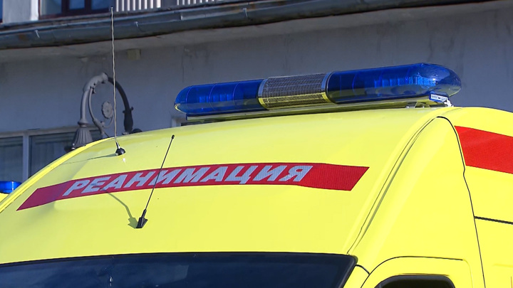 В Саратове умер ребенок после падения на него фигуры в парке - Новости на Вести.ru
