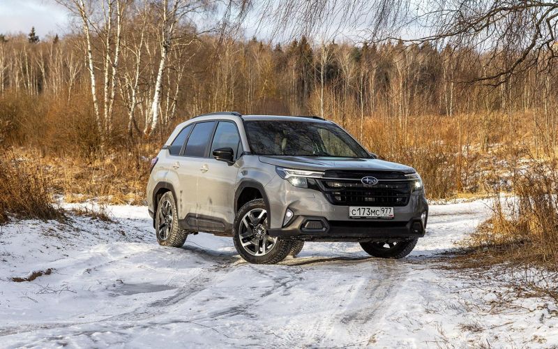 Егерь из барбершопа. Первый тест Subaru Forester нового поколения