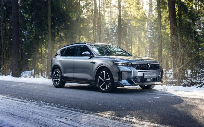 Амур не промазал. Дневник одного Voyah Free