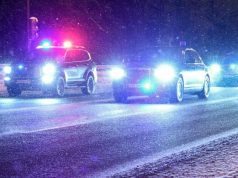 На этих машинах американская делегация приехала к Путину. Видео