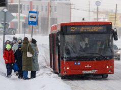 «Противоречит ПДД»: юристы — о наказании за объезд автобуса по встречной