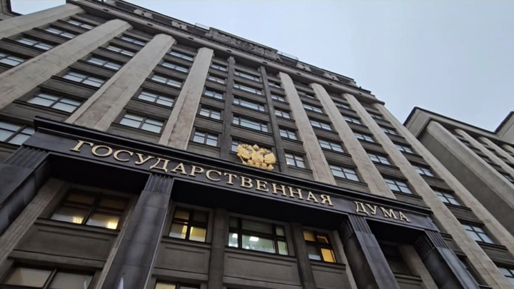 В Госдуме предложили изменить правила перехода детей на домашнее обучение - Новости на Вести.ru