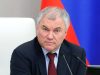 Володин призвал не делать из работы депутатов показуху