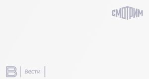 Эксперт Галяшина: общество должно активнее пресекать публичное употребление мата — Новости на Вести.ru