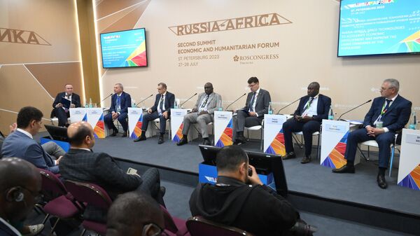 Путин планирует встретиться с лидерами ЦАР и Камеруна